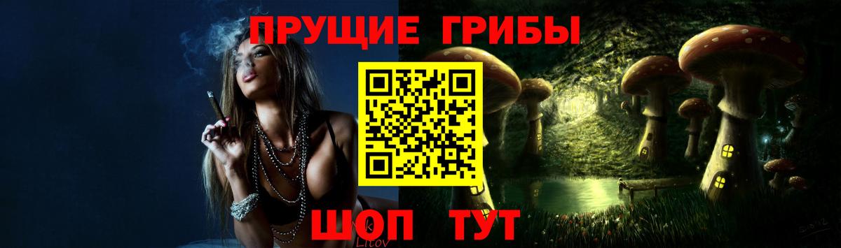 хочу   Вход с VPN  Канаш  Галлюциногенные грибы Magic Shrooms 